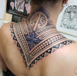 poly coverup